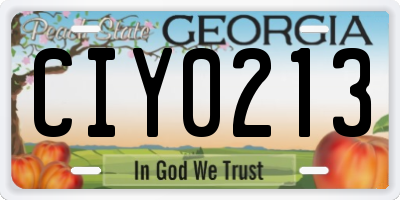 GA license plate CIY0213