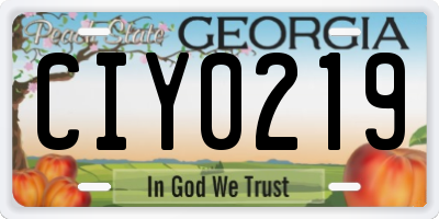 GA license plate CIY0219