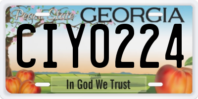 GA license plate CIY0224