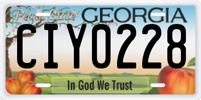 GA license plate CIY0228