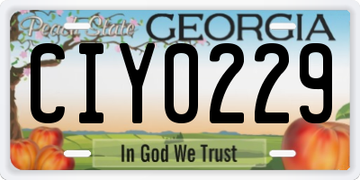 GA license plate CIY0229