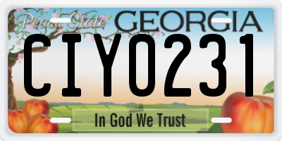 GA license plate CIY0231