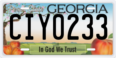 GA license plate CIY0233