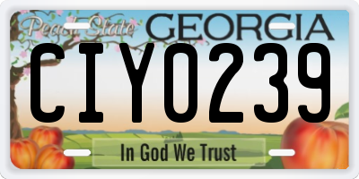 GA license plate CIY0239