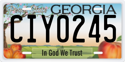 GA license plate CIY0245