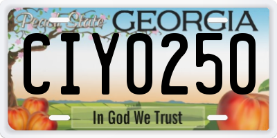 GA license plate CIY0250