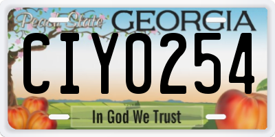 GA license plate CIY0254