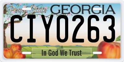 GA license plate CIY0263