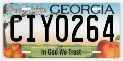 GA license plate CIY0264