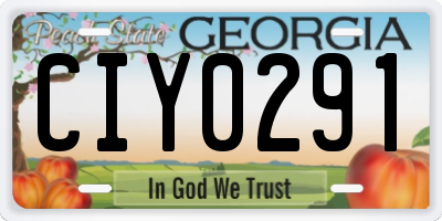 GA license plate CIY0291