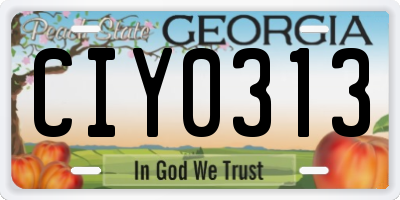 GA license plate CIY0313