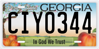 GA license plate CIY0344