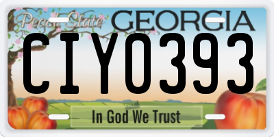 GA license plate CIY0393