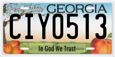 GA license plate CIY0513