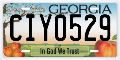 GA license plate CIY0529