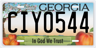 GA license plate CIY0544