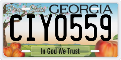 GA license plate CIY0559