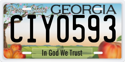 GA license plate CIY0593