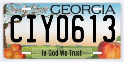 GA license plate CIY0613