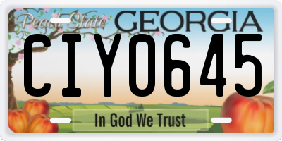 GA license plate CIY0645