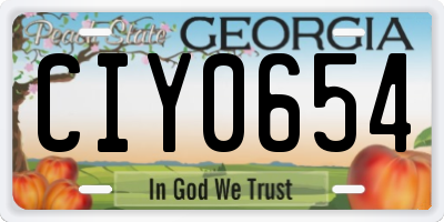 GA license plate CIY0654