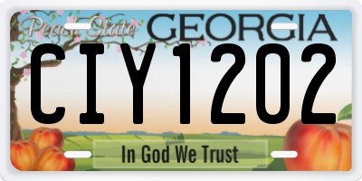 GA license plate CIY1202