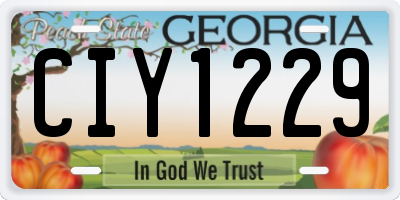 GA license plate CIY1229
