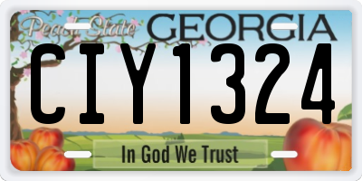 GA license plate CIY1324