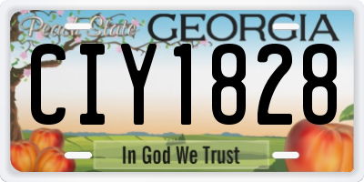 GA license plate CIY1828