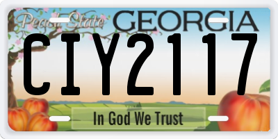 GA license plate CIY2117