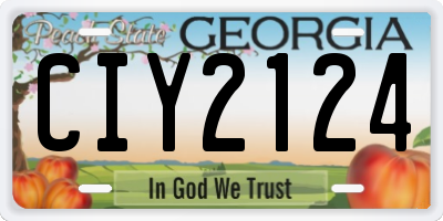 GA license plate CIY2124