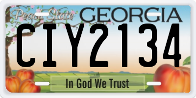 GA license plate CIY2134