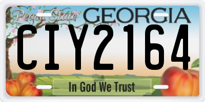 GA license plate CIY2164