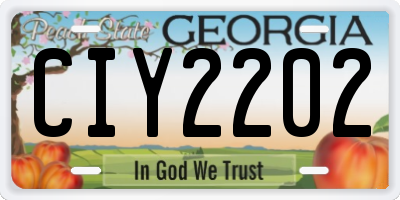 GA license plate CIY2202