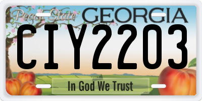 GA license plate CIY2203