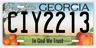 GA license plate CIY2213