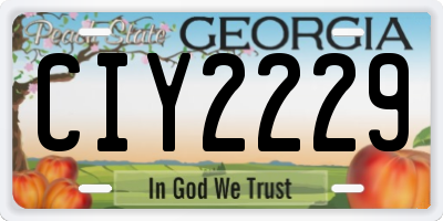 GA license plate CIY2229