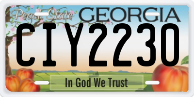 GA license plate CIY2230