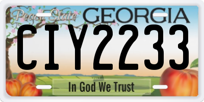 GA license plate CIY2233