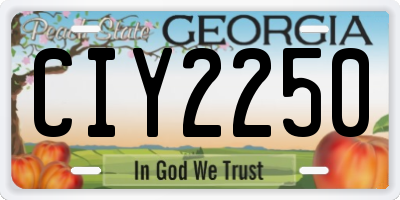GA license plate CIY2250