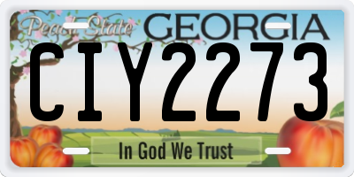GA license plate CIY2273