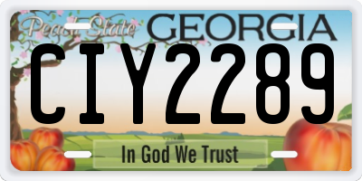 GA license plate CIY2289