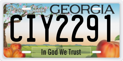 GA license plate CIY2291