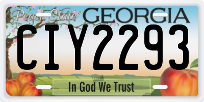 GA license plate CIY2293