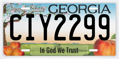 GA license plate CIY2299