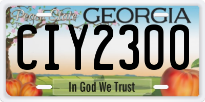 GA license plate CIY2300