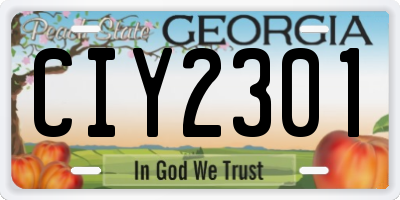 GA license plate CIY2301