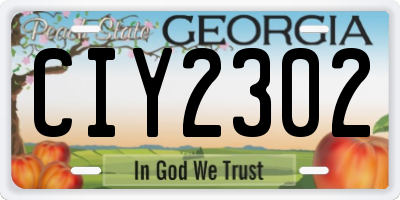GA license plate CIY2302