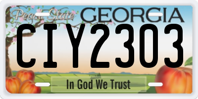 GA license plate CIY2303
