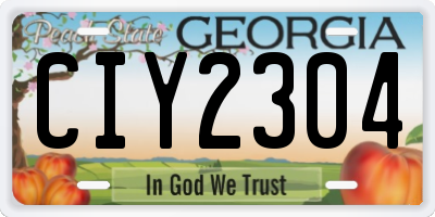 GA license plate CIY2304